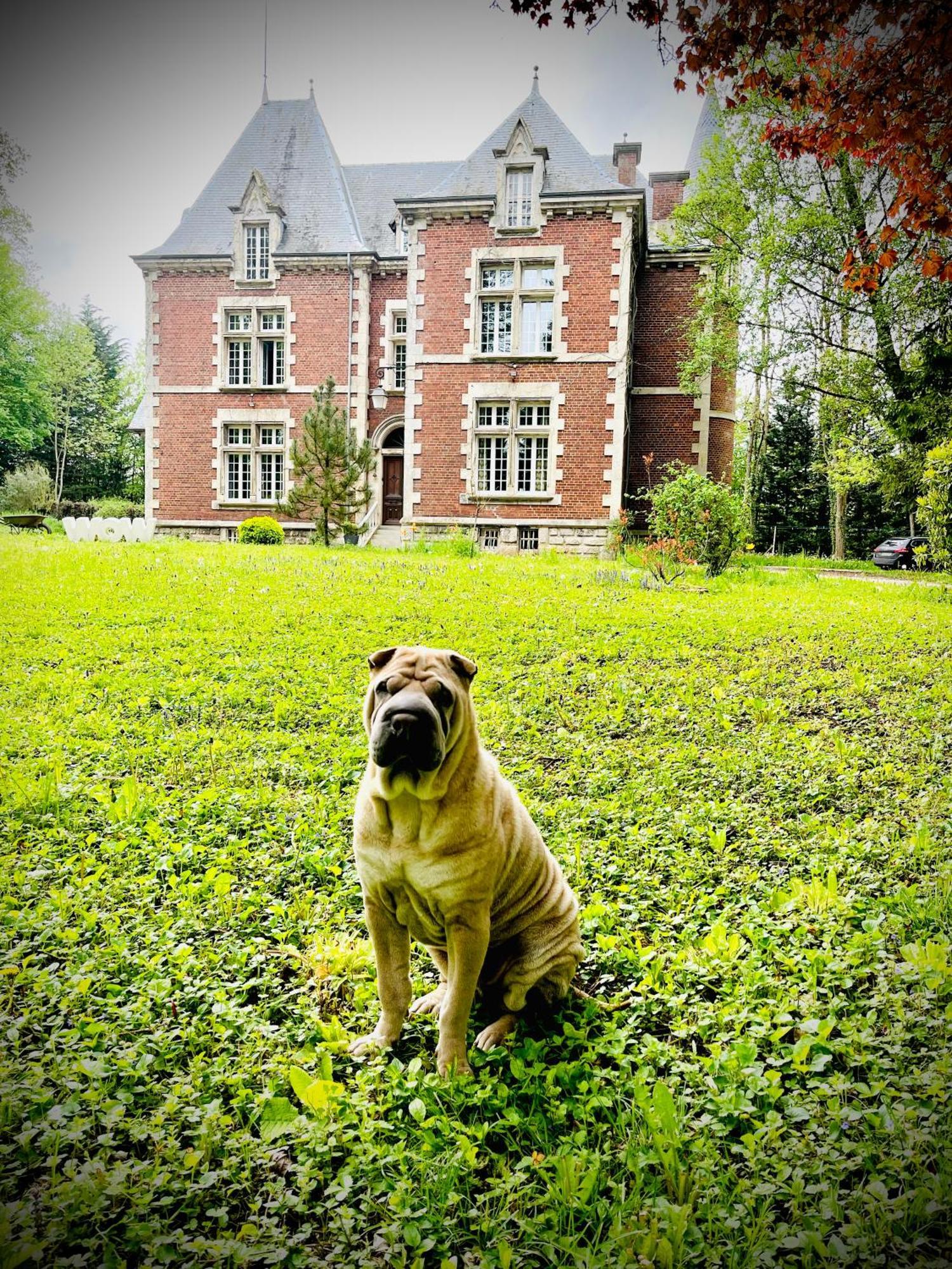 Domaine De La Croix De Saint Lambert Bed & Breakfast Poix-Terron Luaran gambar